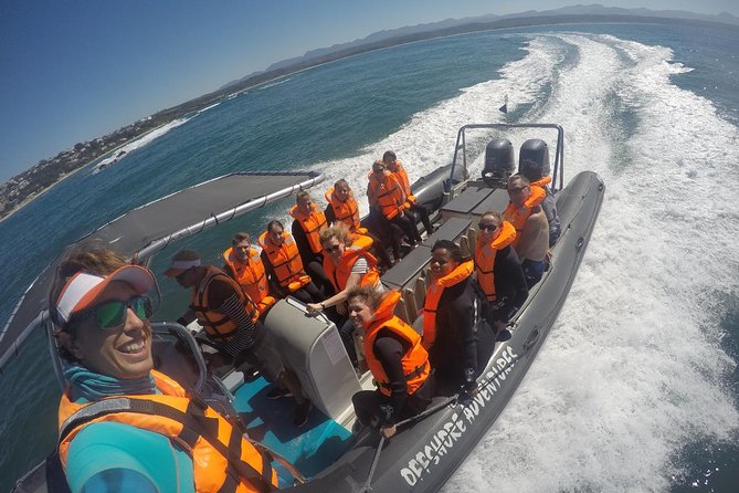 1.5-Hour Seal Viewing Boat Tour in Plettenberg Bay - What to bring and how to make the most of your viewing
