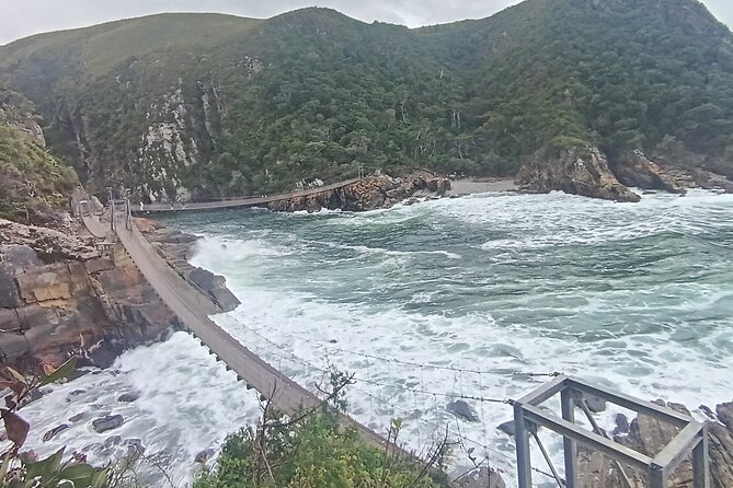 1 Day Garden Route Tour from Port Elizabeth to the Crags - Monkeyland: free roaming monkeys in a focused one hour visit