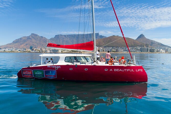 1- Hour Catamaran Cruise Cape Town - Key Highlights Worth Your Attention
