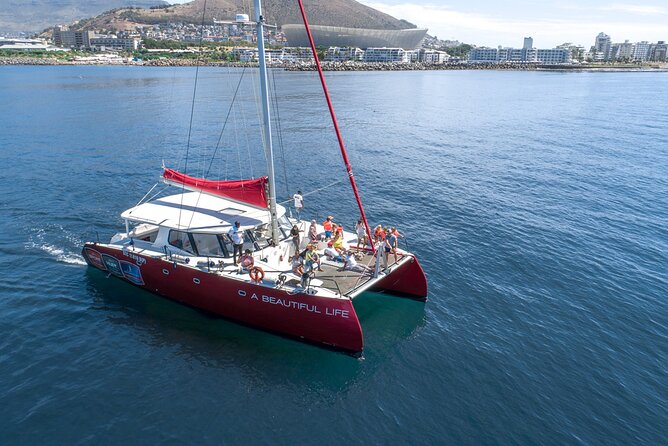 1- Hour Catamaran Cruise Cape Town - Getting on the Water from V&A Waterfront (Shop 6A, Quay 5)