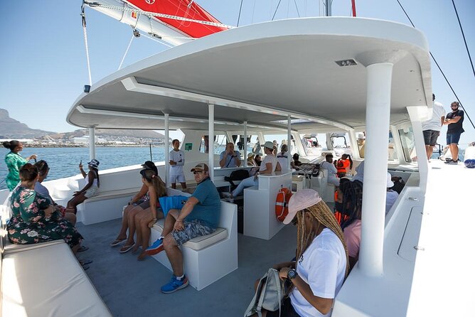 1- Hour Catamaran Cruise Cape Town - How to Get the Most from a One-Hour Cruise (Without Stress)