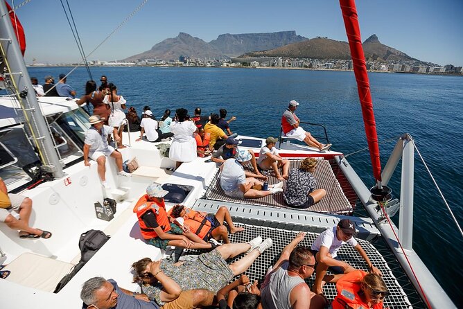 1- Hour Catamaran Cruise Cape Town - Price and Value: Is $18.98 a Smart Use of Your Time?