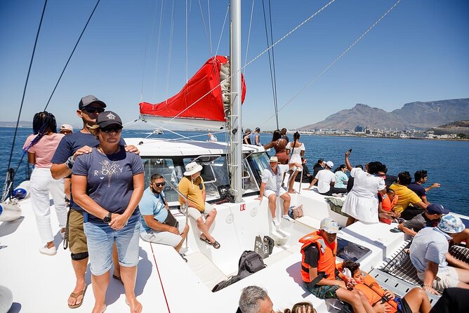 1- Hour Catamaran Cruise Cape Town - The Catamaran Ride: 53-Foot Comfort and a Breeze in Your Hair