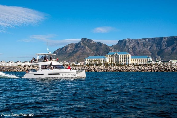 1 Hour Coastal Catamaran Cruise from Cape Town - Price, timing, and value at $21.28 per person