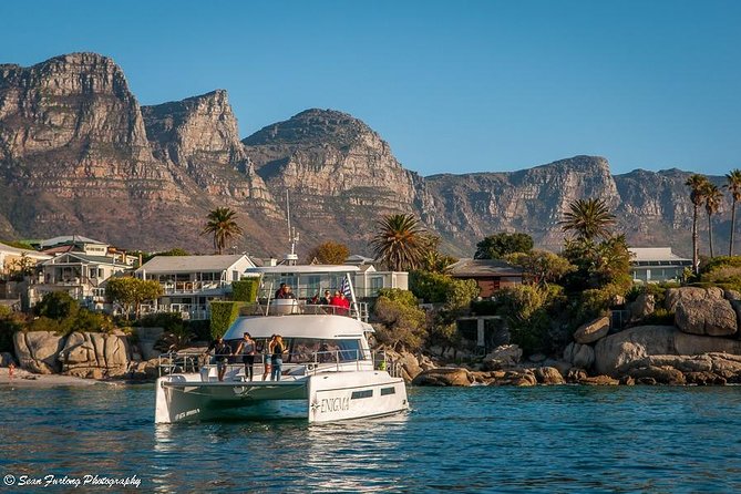 1 Hour Coastal Catamaran Cruise from Cape Town - Should you book this one-hour catamaran cruise?