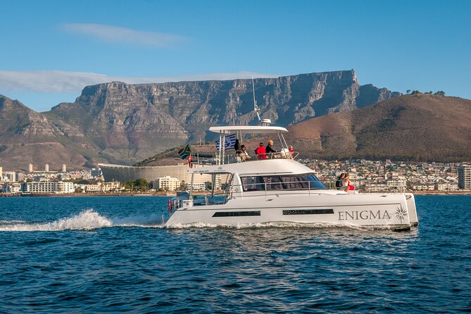 1 Hour Coastal Catamaran Cruise from Cape Town - Wildlife spotting on a quick cruise, from dolphins to sea lions