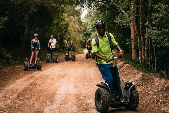 1 Hour Segway Experience - Pine forest and indigenous paths: why this mix is more than a change of scenery