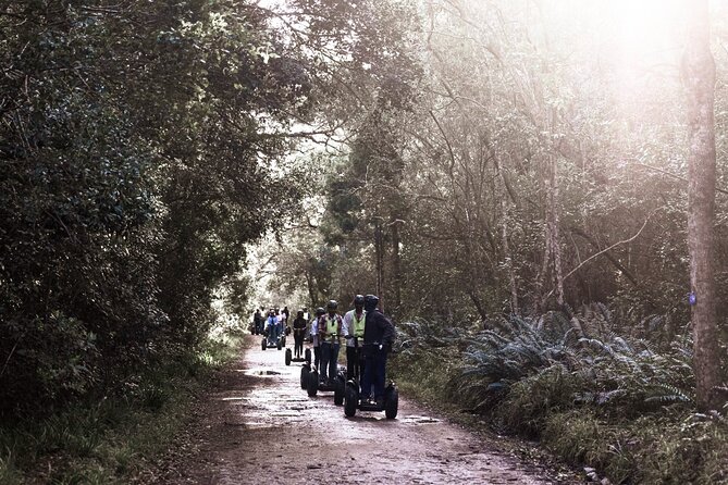 1 Hour Segway Experience - Your guide and the small group size: controlled, not crowded