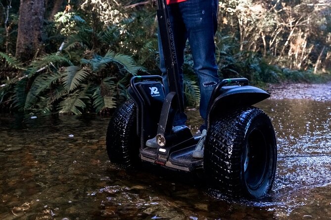 1 Hour Segway Experience - The 1-hour plan: training first, then village and forest routes