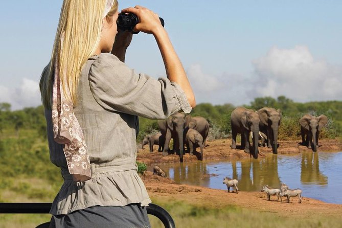 10 Day Cape & Garden Route Tour Combo with add-on accommodation - Day 1 in Cape Town: airport pickup, quick reset, and picking your own vibe