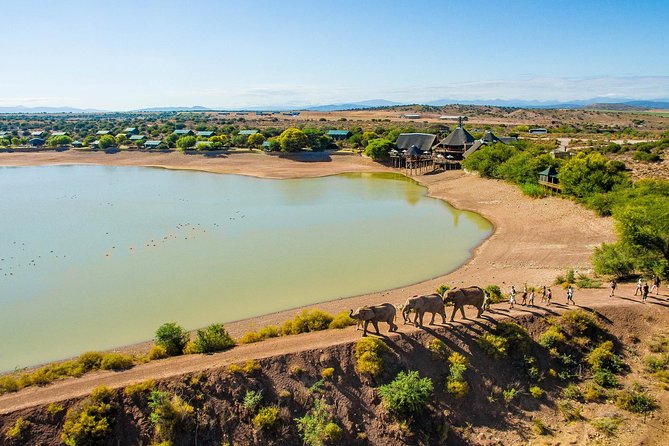 10 Day Cape & Garden Route Tour Combo with add-on accommodation - Day 5: Cape to Oudtshoorn, Route 62 wine stop, then game reserve elephant viewing