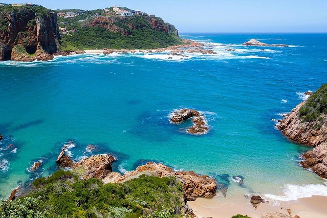 10 Day Cape & Garden Route Tour Combo with add-on accommodation - Day 8: Tsitsikamma day, Bloukrans Bridge thrills, ziplining options, and suspension bridge views