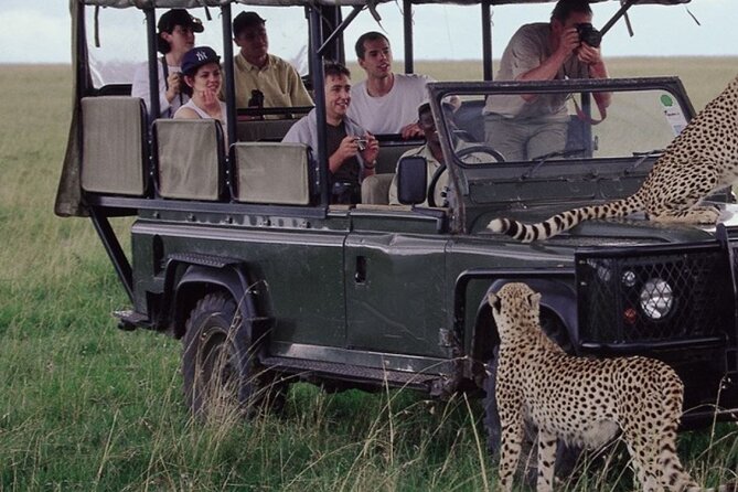10-Day Private Tour Johannesburg to Cape Town - Kruger game drives and the move to Isimangaliso St Lucia