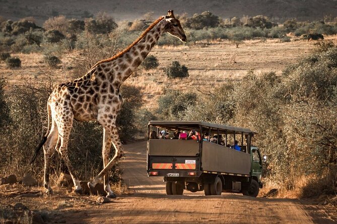 10-Day Private Tour Johannesburg to Cape Town - Durban: beaches after wetlands and wildlife