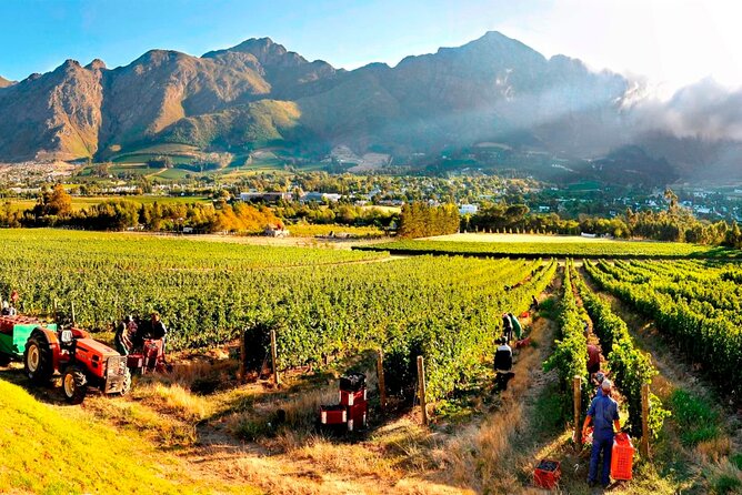 10-Day South Africa Budget Adventure: Cape Town, Joburg & Kruger - The big-picture route, and why it works for a budget