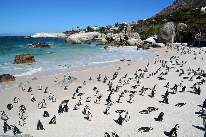 10-Day South Africa Budget Adventure: Cape Town, Joburg & Kruger - Flying to Cape Town, then getting your bearings fast
