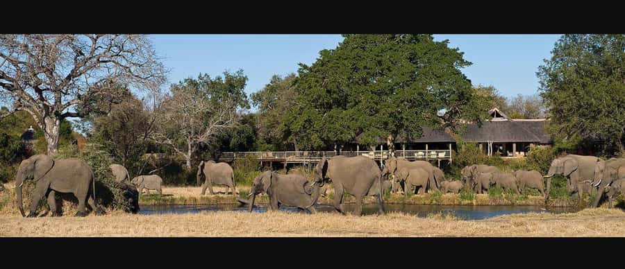 10 Day South Africa Tour Joburg to Cape Town - Durban City Tour: Beaches, a City Feel, and Guided Context