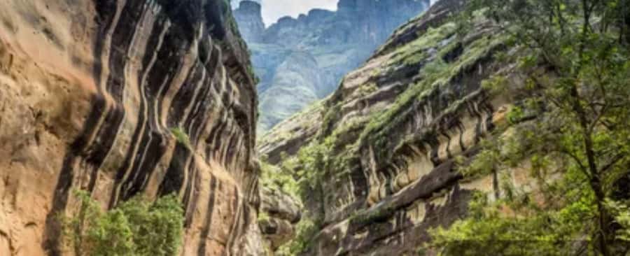 10 Day South Africa Tour Joburg to Cape Town - Bloukrans Bridge: Optional Sky Walking, Optional Bungy, and Real Adrenaline Math