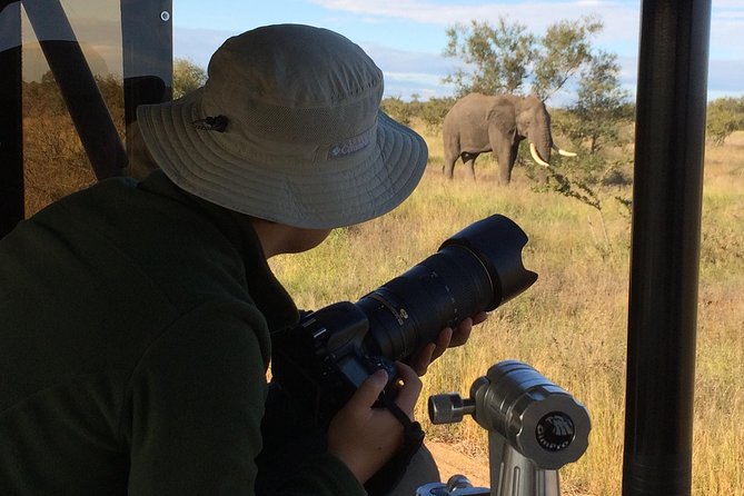 10 Day Wildlife Photographic Safari - Kruger National Park - B1 Photo Safaris - The optional extras: bush walks and night drives