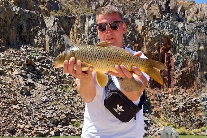 100 % Catch Rate Cape Town Wild Tours - Wildlife chances: wild birds, river otters, and rock hyrax