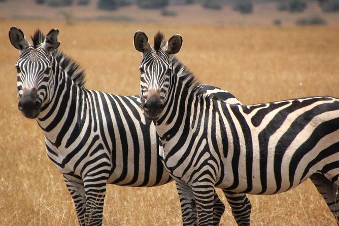 13 Day Safari - Cape Town to Johannesburg - Mandela stops in Mvezo and Mthatha, then Howick Falls and the Drakensberg