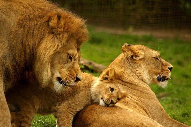 13 Day Safari - Cape Town to Johannesburg - iSimangaliso Wetland Park and St Lucia: Hippo and Croc boat safari