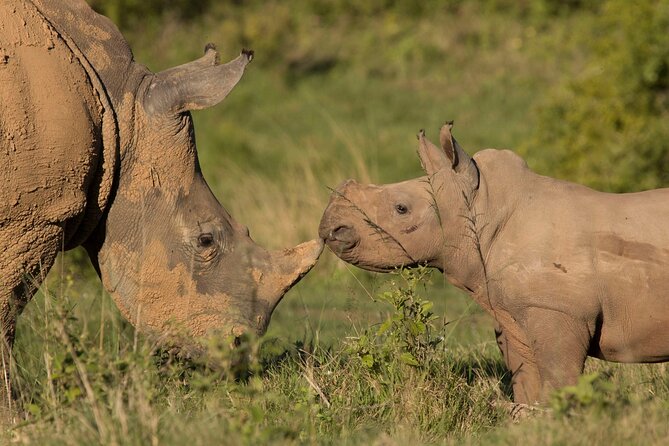 15-Day All Inclusive Sibuya Wilderness Guided Tour - Graduation, group projects, and getting your learning to stick