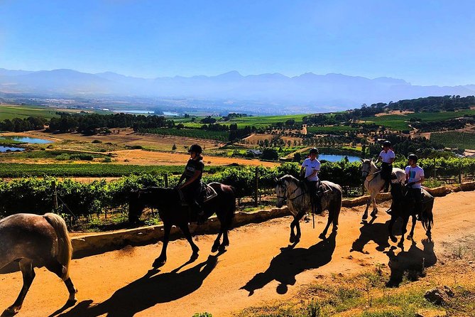 1h – Horse Trail - Key Points That Matter Before You Saddle Up