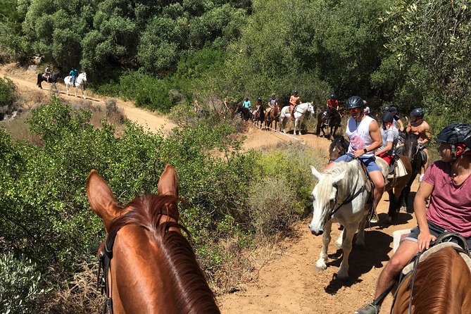 1h – Horse Trail - The Trail Mix: Tractor Paths, Open Spaces, and Short Climbs