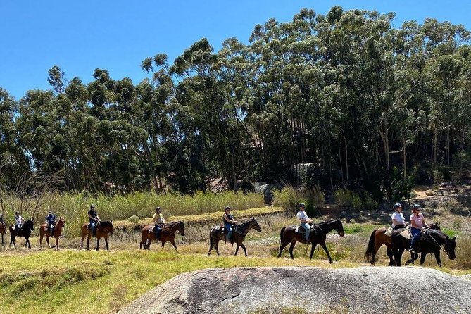 1h – Horse Trail - Expect a Guide Like Kevin, Not a Random Escort