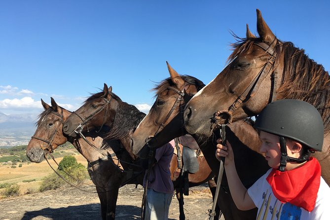 1h – Horse Trail - Saddle Comfort, Beginner Skills, and Getting the Pace Right