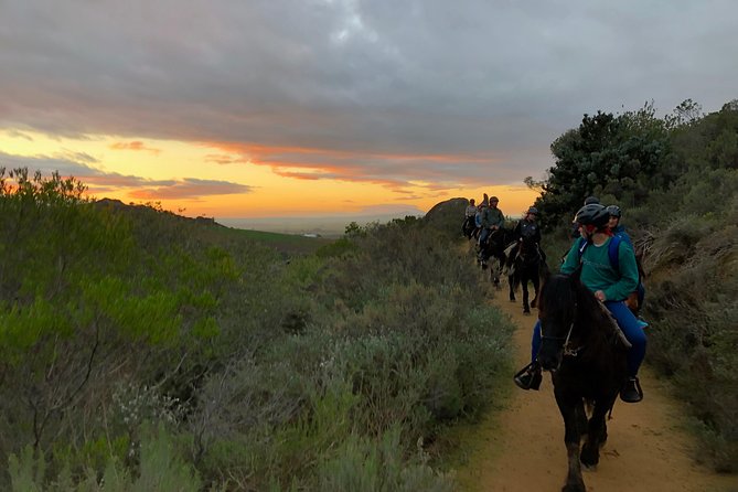 1h – Horse Trail - Price and Value: What You Are Really Paying For