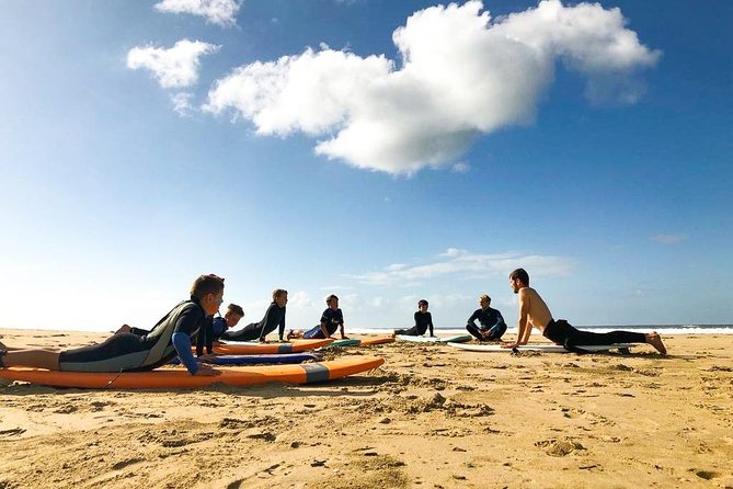 1h15min surfing lessons in Victoria Bay & Wilderness - Price and Value: How $34.69 Makes Sense for Beginners
