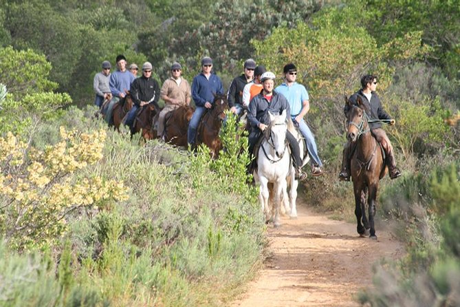 1h30m – Horse Trail - Key highlights to know before you saddle up
