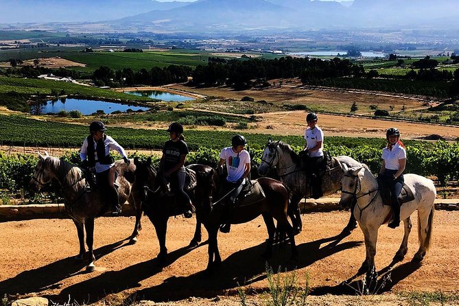 1h30m – Horse Trail - The Paarl Mountain climb: why horseback changes the game