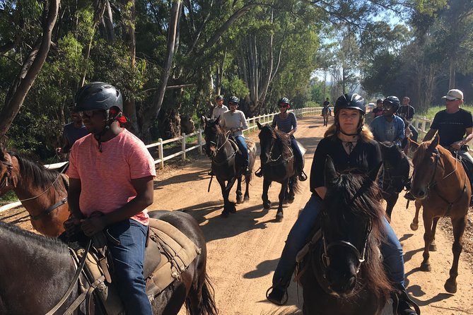 1h30m – Horse Trail - Who this is good for, and what can make it a bad fit