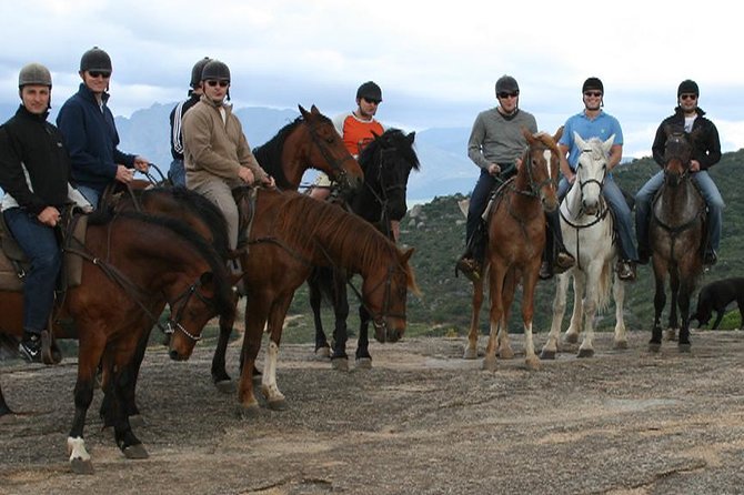 1h30m – Horse Trail - Price and value: what you are paying for in the Cape Winelands