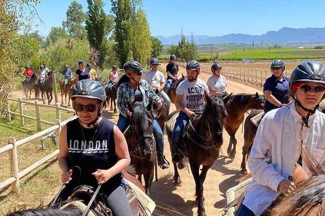 1h30m – Horse Trail - Timing, meeting point, and how to plan your day