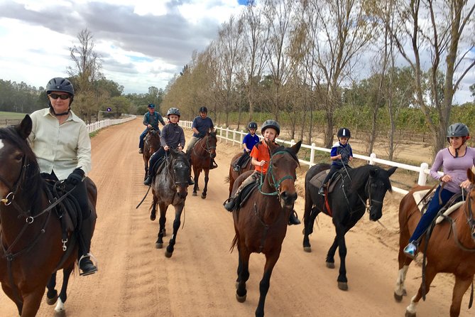 1h30m – Horse Trail - What the ride actually feels like: vineyards, oak shade, and river time