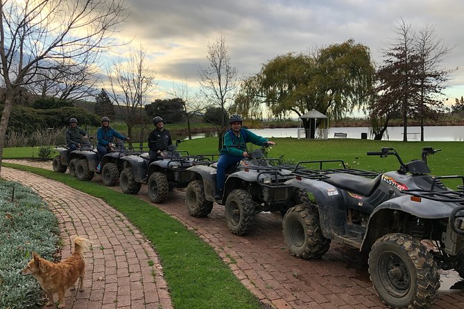1h30m – Nature Quad Trail - Meeting at Vrede en Lust Wine Estate and riding with a real guide
