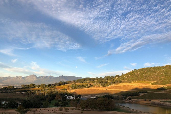 1h30m – Nature Quad Trail - The Wine Valley Adventures stop: Rhebok lunch or wine tasting