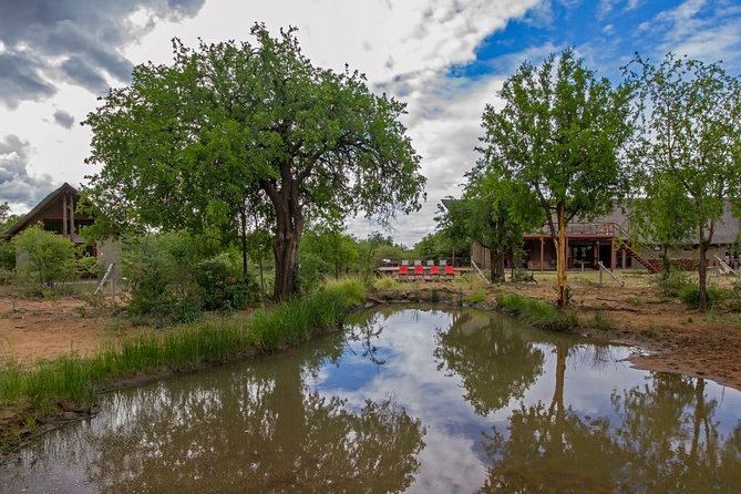 2 Day 4 Star Pilanesberg Safari - Day 1 Morning: Closed Air-Conditioned Drive Into the Reserve