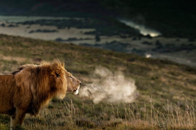 2 Day Addo Elephant Park Safari - Key highlights that make this safari worth your time