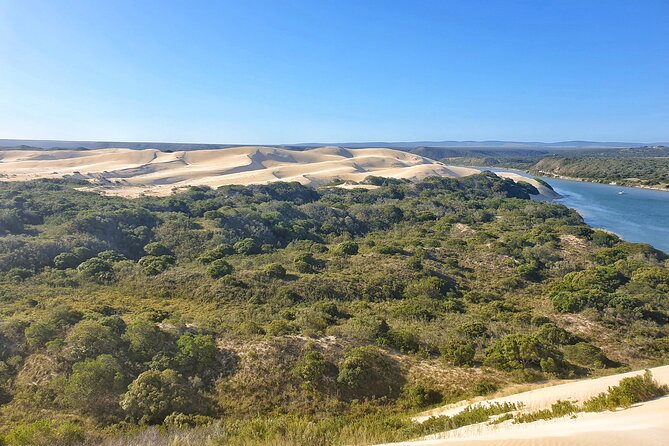 2 Day Addo Elephant Park Safari - Big Five odds, plus the black rhino reality check
