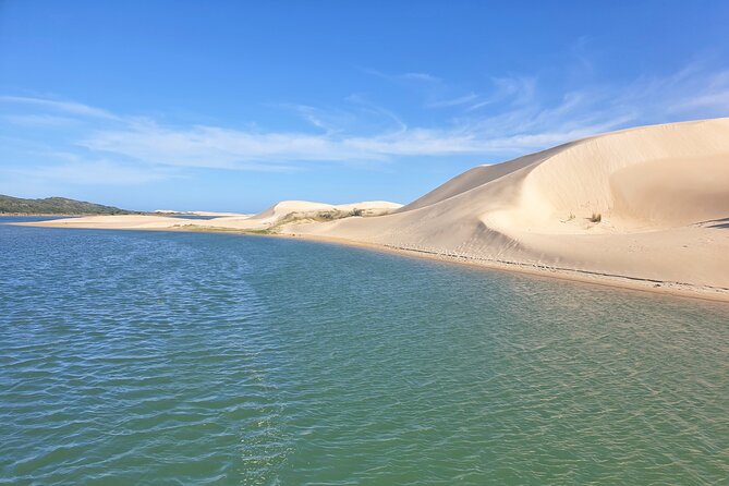2 Day Addo Elephant Park Safari - Day 2 on foot: Giraffe tracking in Greater Addo
