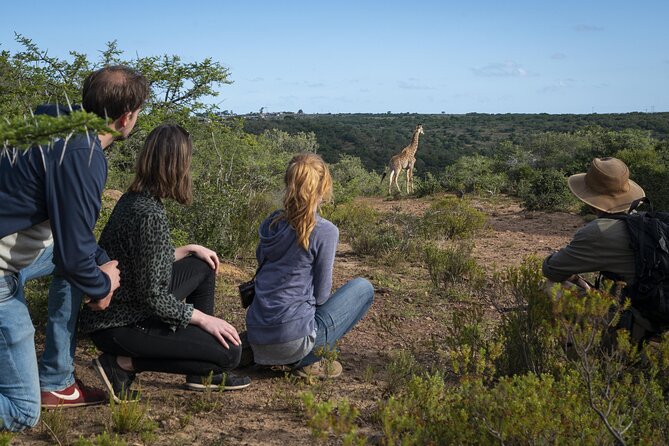 2 Day Addo Elephant Park Safari - How group size and pickup affect your experience