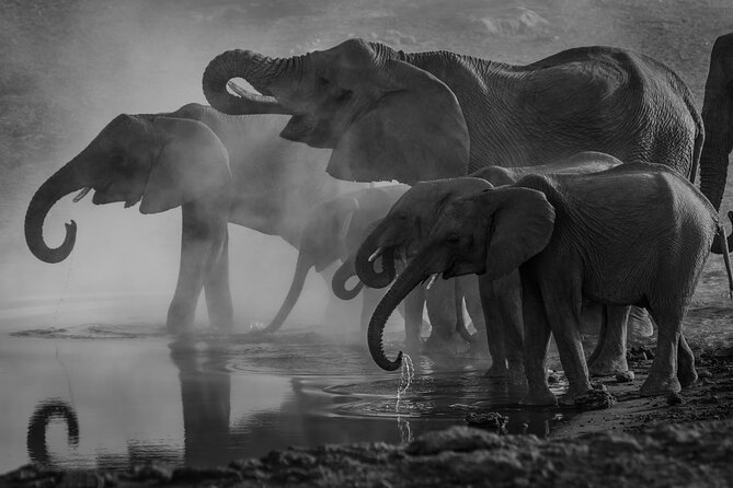 2 Day Drakensberg Mountains & Tala Game Reserve Tour From Durban - Natal Lion Park plus a bird-and-bush break