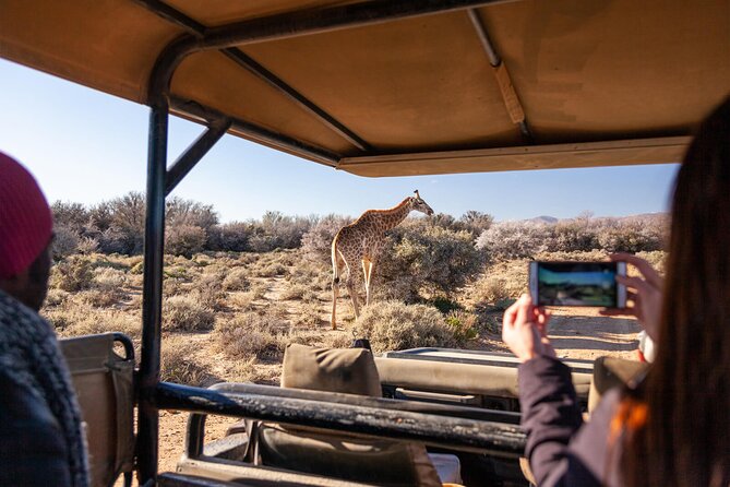 2 Day Inverdoorn Luxury Safari - Inverdoorn check-in: where you slow down on purpose