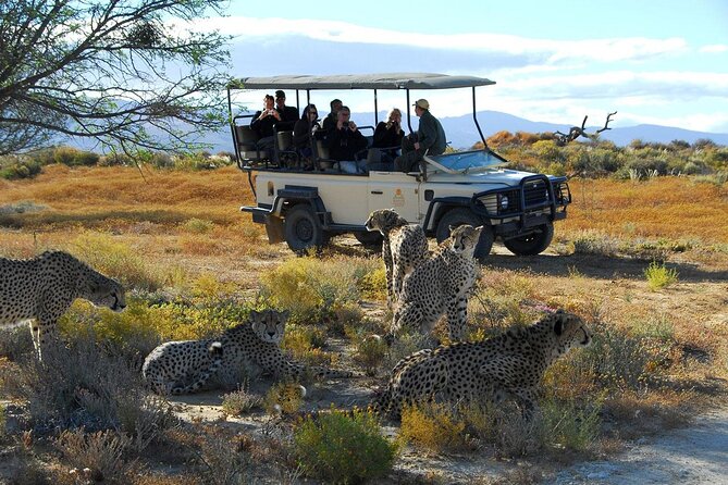 2 Day Inverdoorn Luxury Safari - Cape Town to Ceres: fruit country first, then safari mood