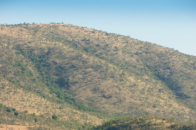 2 Day Pilanesberg Camping Safari - Day 1 morning game drive in open vehicles: where the best action usually starts
